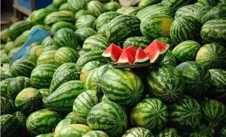 西瓜爆料泰蜜官方报道最新,泰蜜官方最新动态揭秘